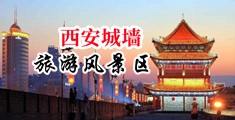 日入逼操中国陕西-西安城墙旅游风景区