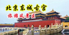 操BXX.COM中国北京-东城古宫旅游风景区